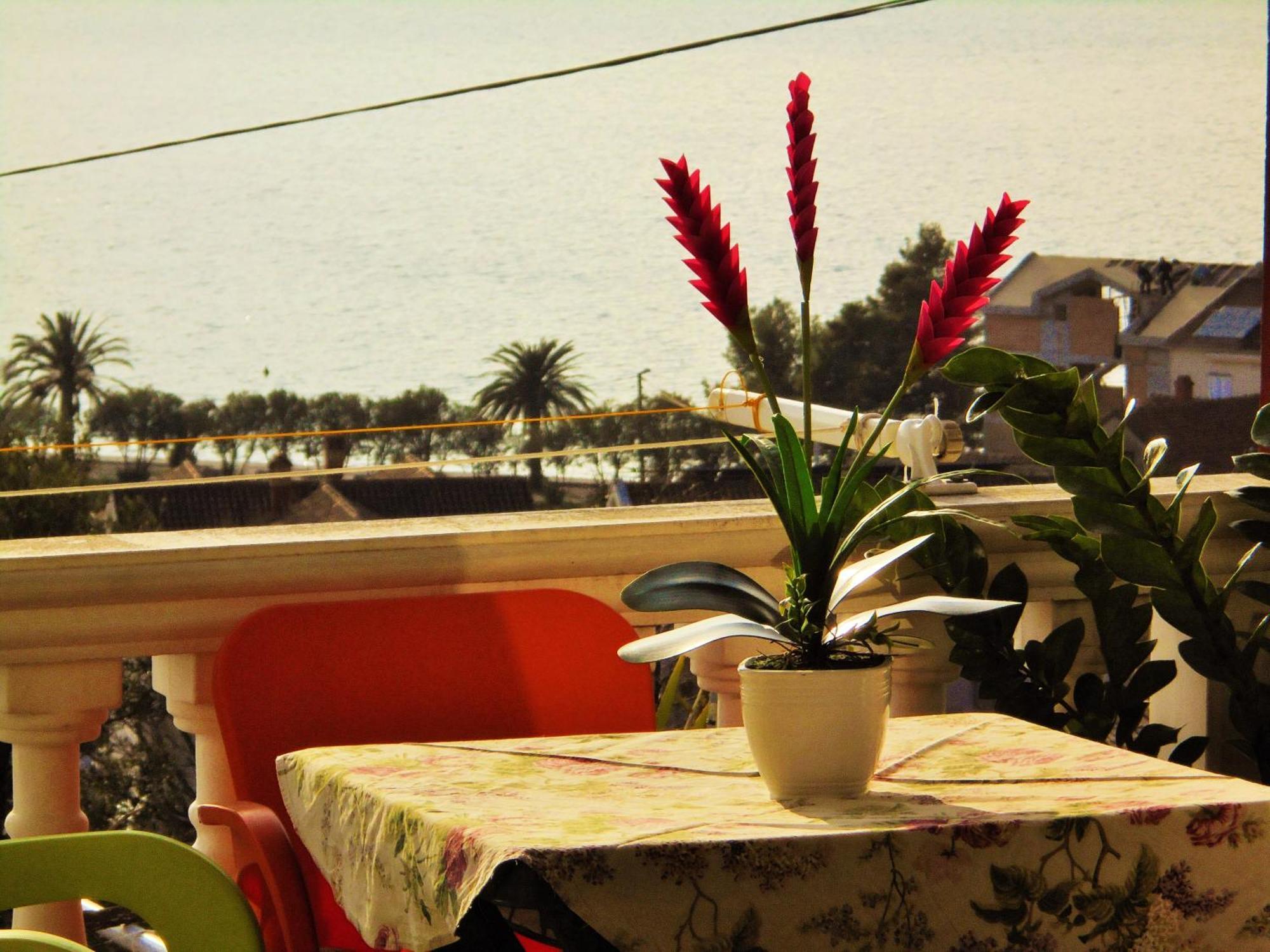 Villa Lastva Apartments Tivat Dış mekan fotoğraf